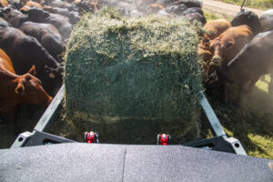 Cattle Chronicles: Hydraulic Float, What Does It Do?